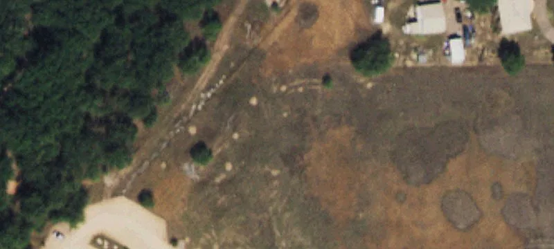 Pepper Grass Ln