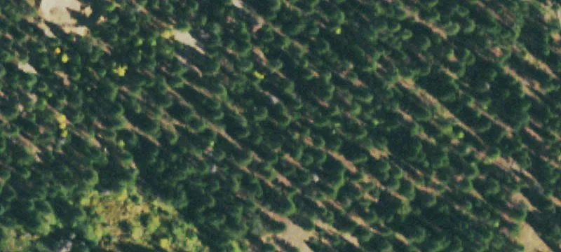 Estes Park, CO 80517