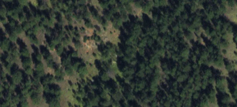 2000 Old Stage Rd