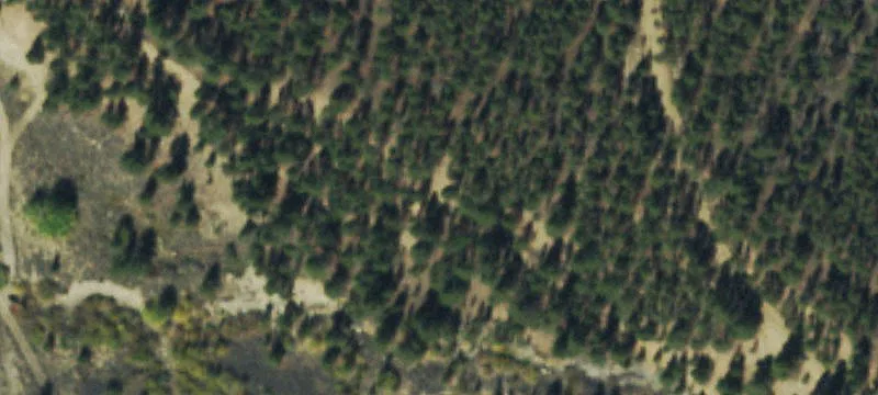Leadville, CO 80461