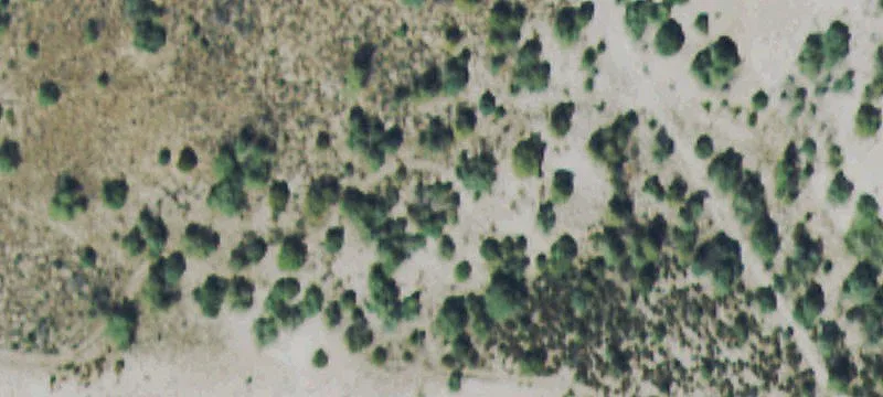 Wolcott, CO 81655