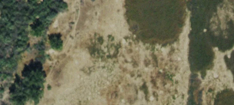 Fruita, CO 81521