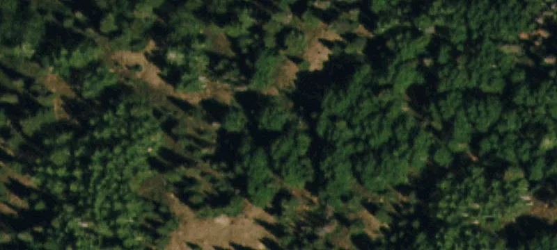 Montrose, CO 81403