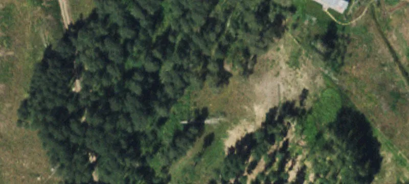 8505 Hwy 145