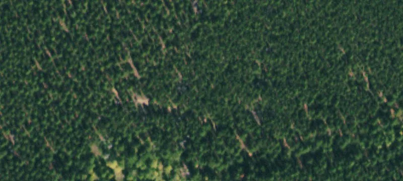 Black Hawk, CO 80422