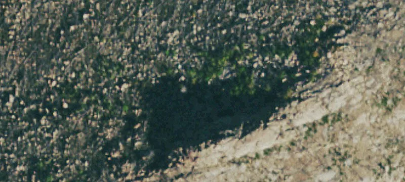 Bellvue, CO 80512