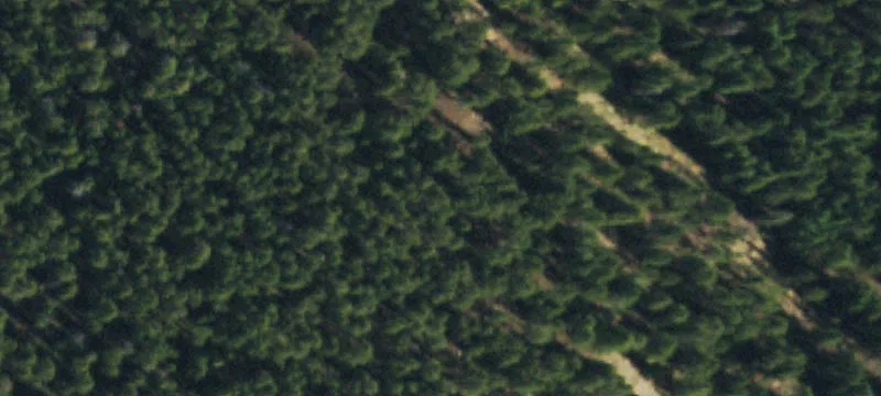 Aspen, CO 81611