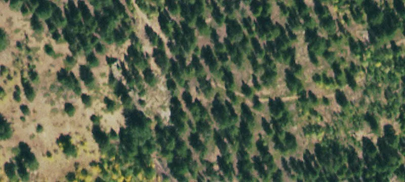 Shoshoni Cp Rd