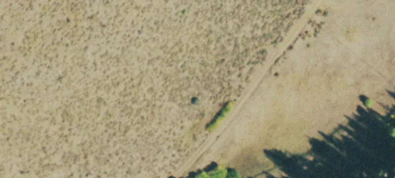Livermore, CO 80536