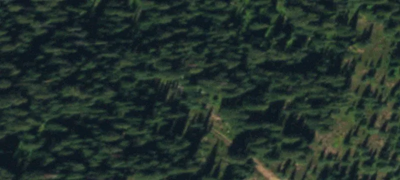 Vail, CO 81657