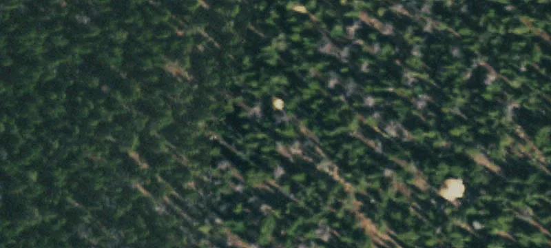 Black Hawk, CO 80422