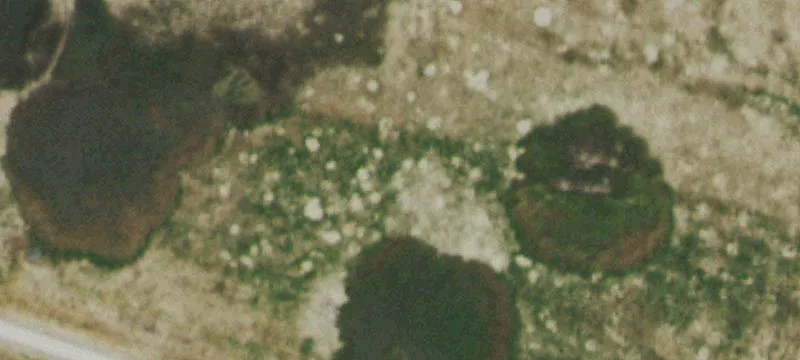 Fruita, CO 81521
