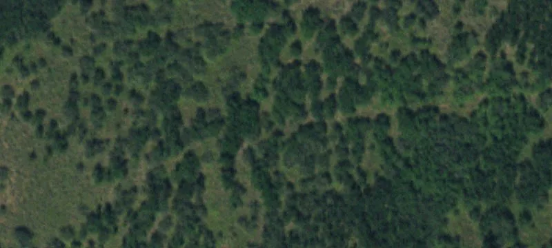 Collbran, CO 81624