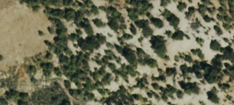 Parachute, CO 81630