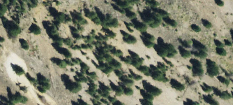 1520 Usfs Rd 507th 1a