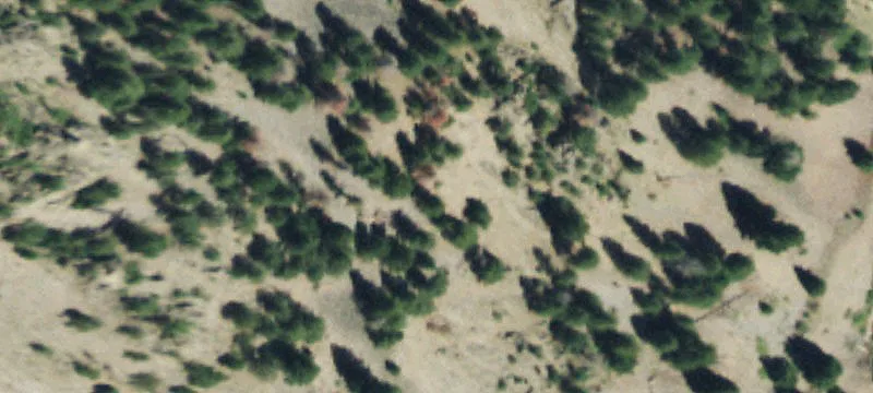 Patented Mining Claims