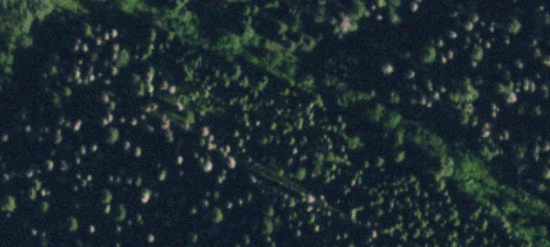 Del Norte, CO 81132