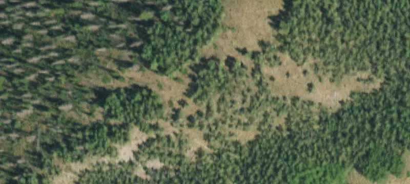 Del Norte, CO 81132