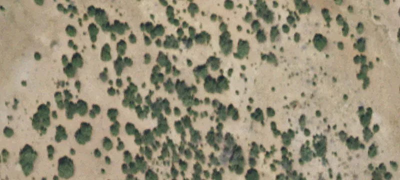Del Norte, CO 81132