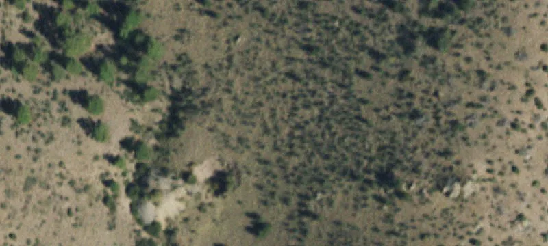 Villa Grove, CO 81155