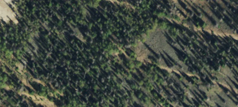 Creede, CO 81130