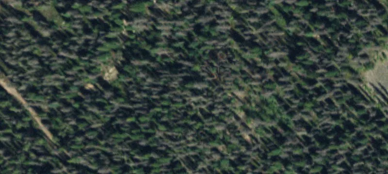 Creede, CO 81130
