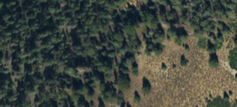Villa Grove, CO 81155