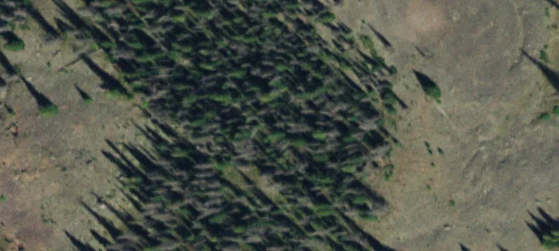 Creede, CO 81130