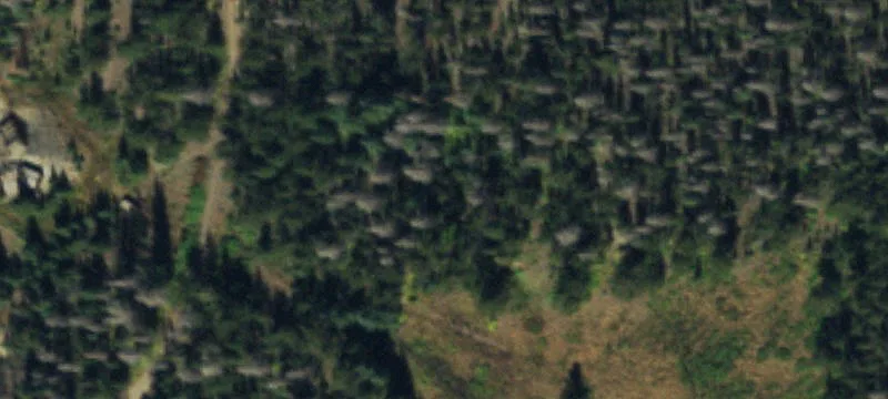 Villa Grove, CO 81155