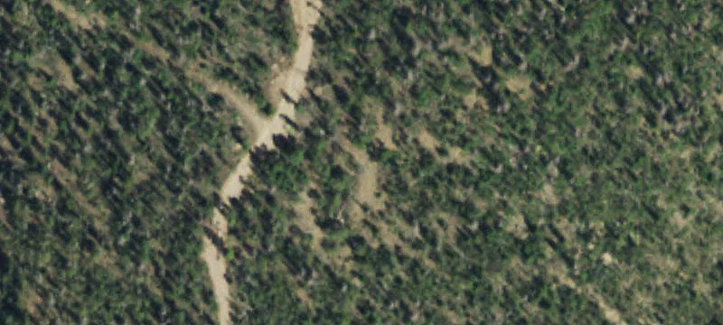 Creede, CO 81130