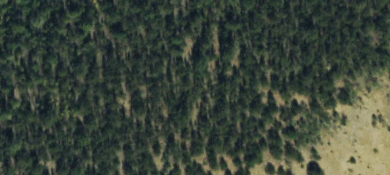 Villa Grove, CO 81155