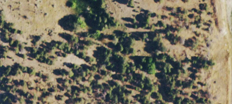 Redvale, CO 81431