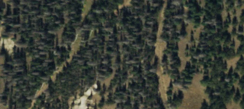 Villa Grove, CO 81155