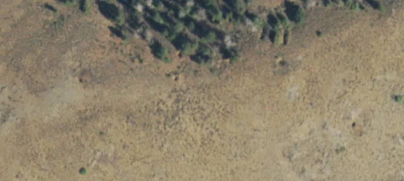 Gunnison, CO 81230