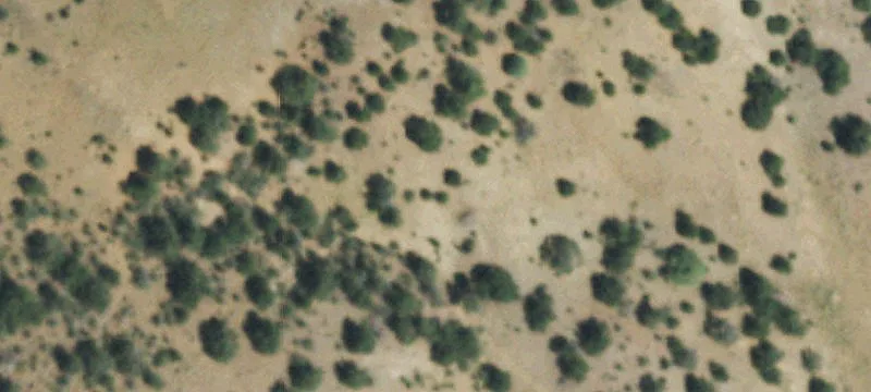 Del Norte, CO 81132