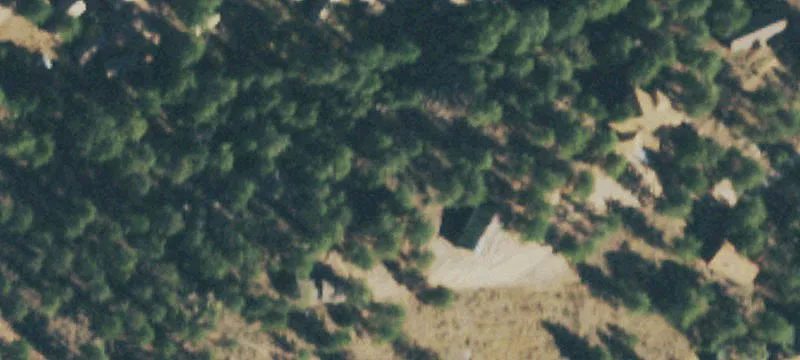 1301 Alpine Cabin Rd