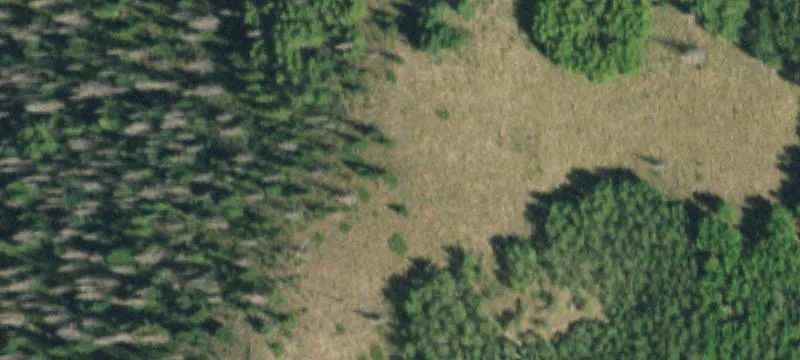 Del Norte, CO 81132