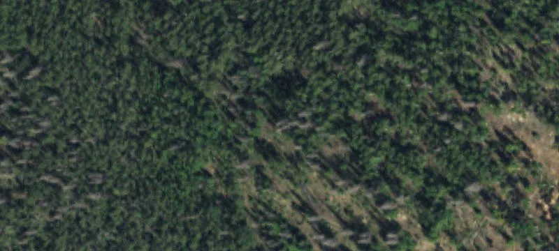 Creede, CO 81130