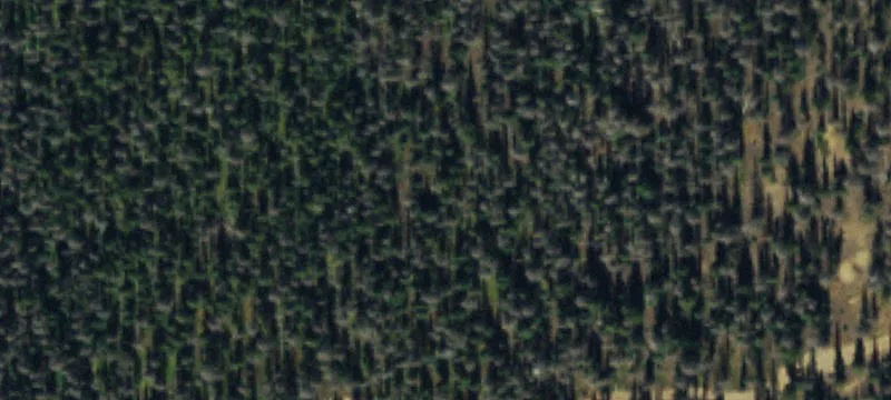 Villa Grove, CO 81155