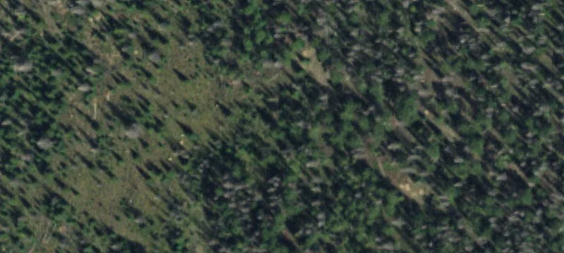 Creede, CO 81130