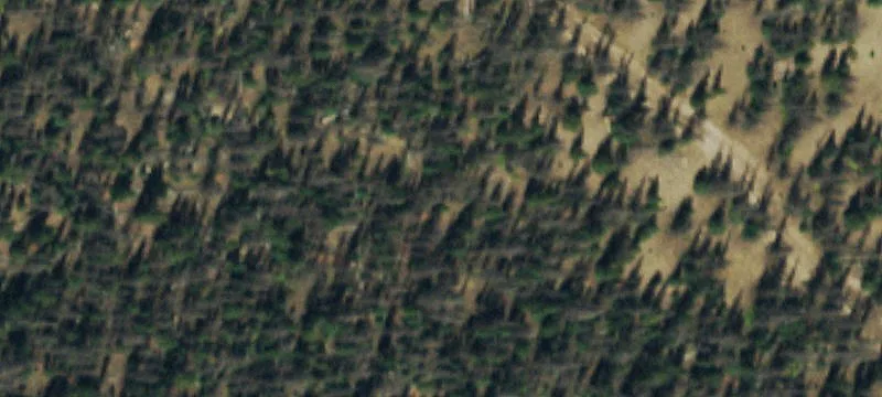 Villa Grove, CO 81155