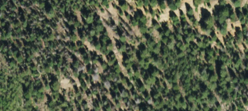 Del Norte, CO 81132