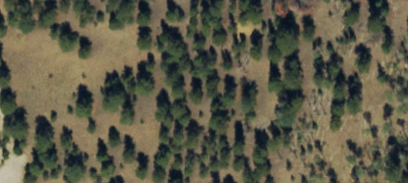 Villa Grove, CO 81155