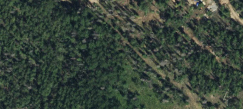 Creede, CO 81130