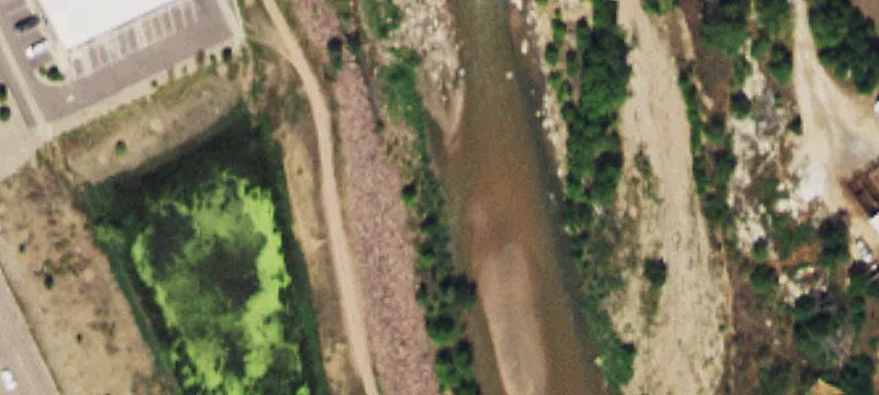 Bandley Dr