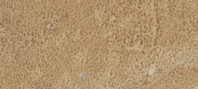 Nucla, CO 81424