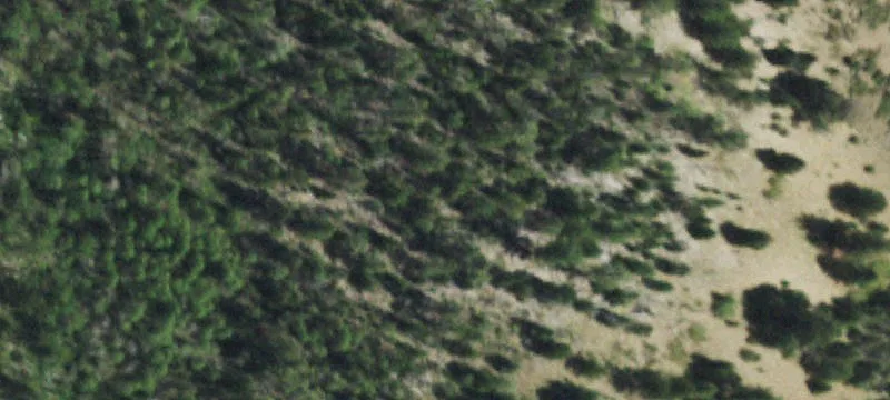 Villa Grove, CO 81155