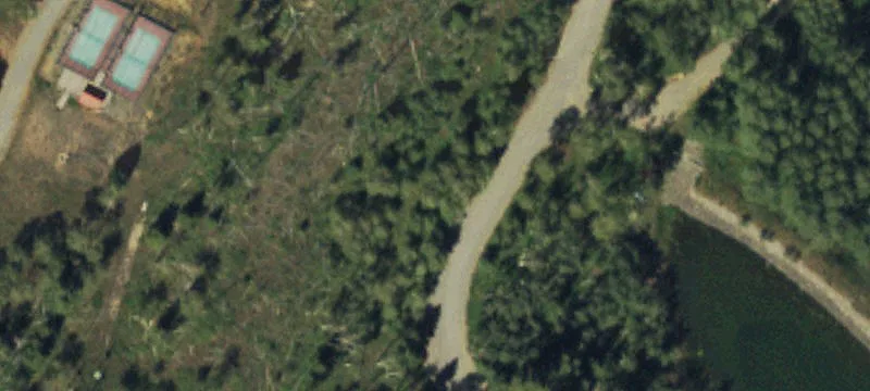 97 Elk Walk Rd