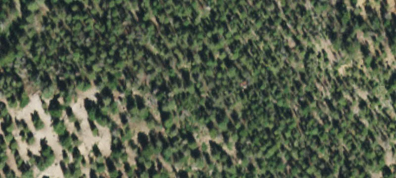 Del Norte, CO 81132