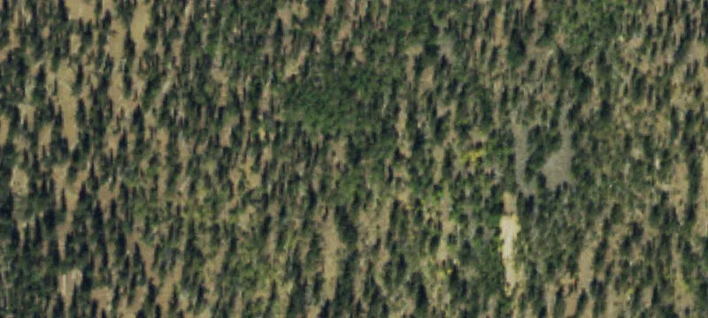 Villa Grove, CO 81155